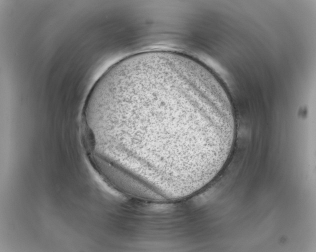 X0000091061423200709041149