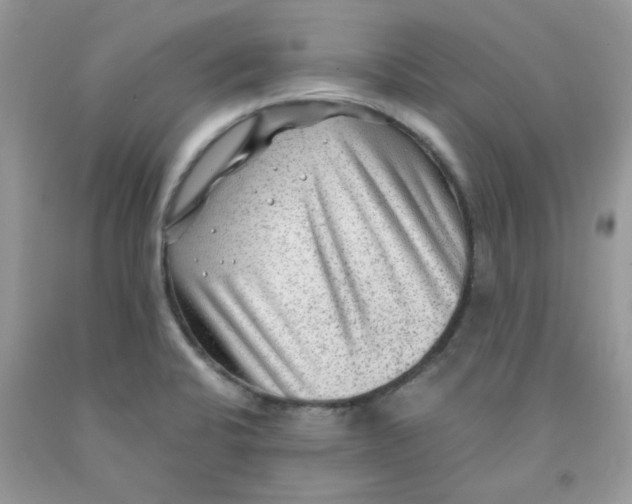 X0000091061424200709041149