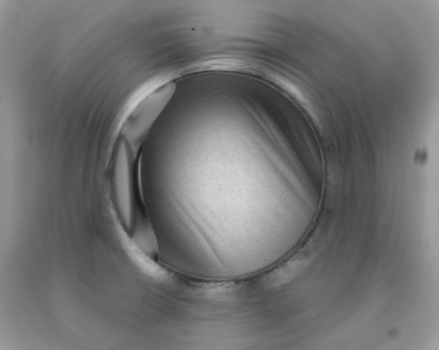 X0000091061426200709041149