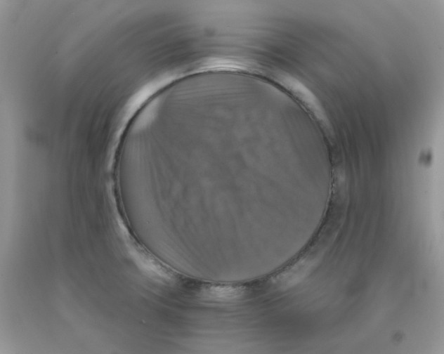 X0000091061427200709041149
