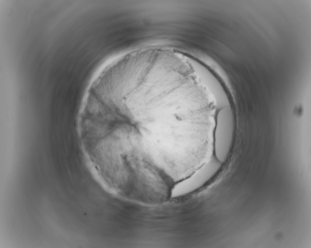 X0000091061429200709041149
