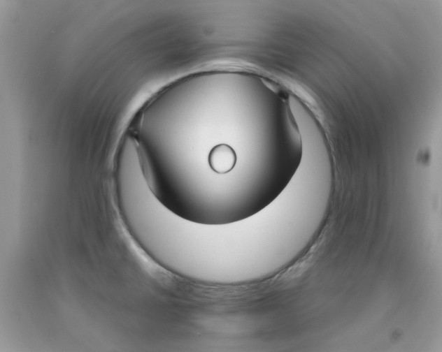X0000091061430200709041149
