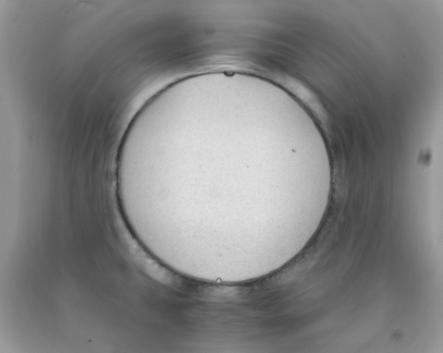 X0000091061431200709041149