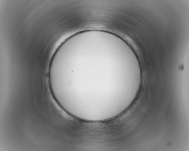 X0000091061432200709041149