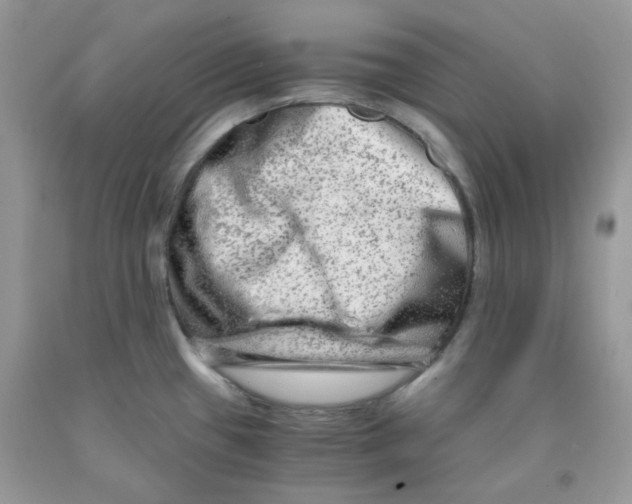 X0000091061433200709041149