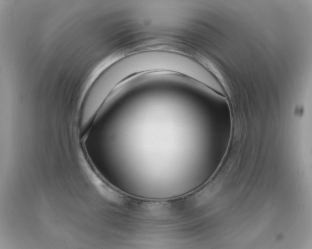 X0000091061434200709041149