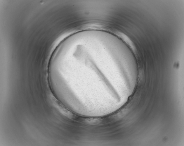 X0000091061435200709041149