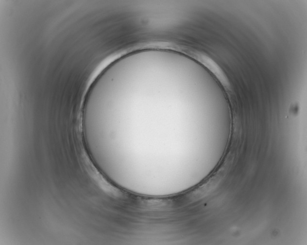 X0000091061436200709041149
