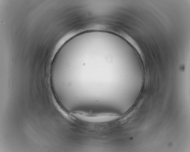 X0000091061437200709041149
