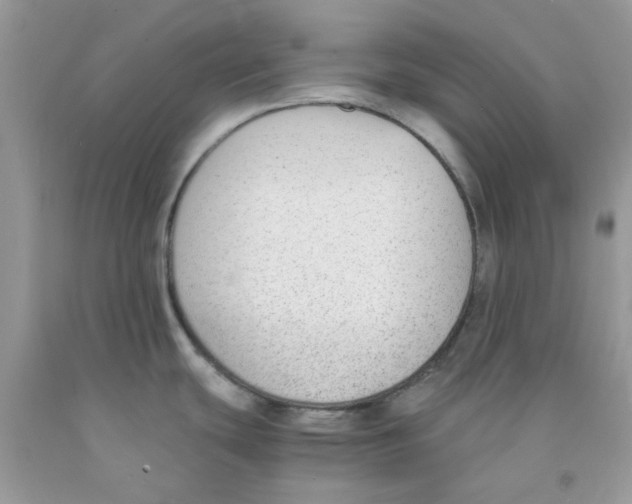 X0000091061439200709041149