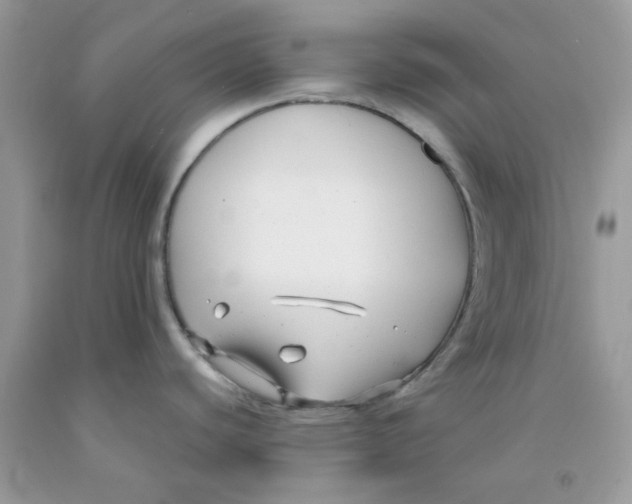 X0000091061440200709041149
