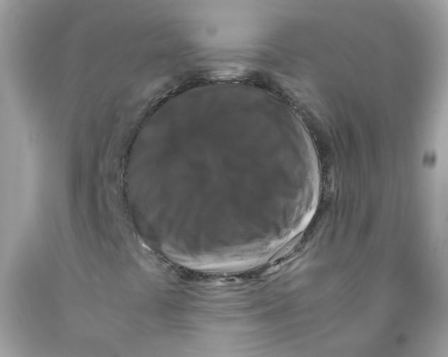 X0000091061441200709041148
