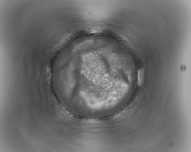 X0000091061443200709041148