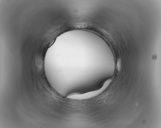 X0000091061444200709041148
