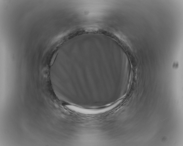 X0000091061445200709041148