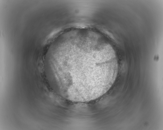 X0000091061446200709041148