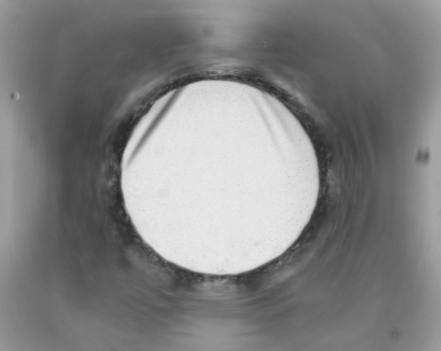 X0000091061447200709041148