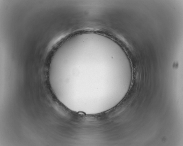 X0000091061448200709041148