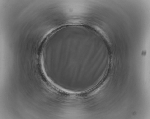 X0000091061449200709041148