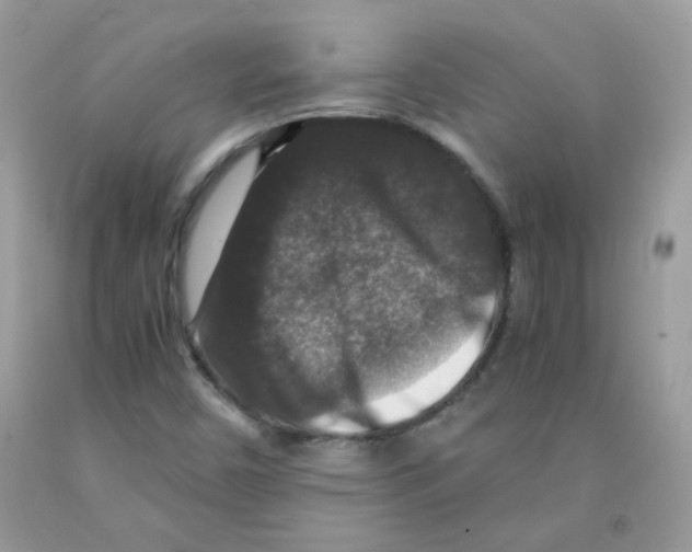 X0000091061450200709041148