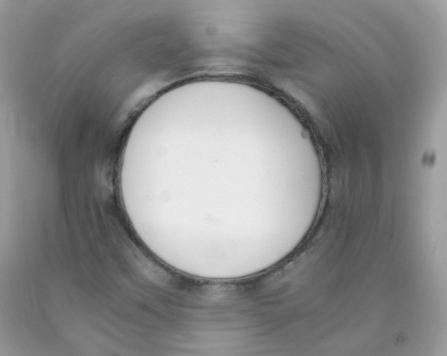 X0000091061451200709041148