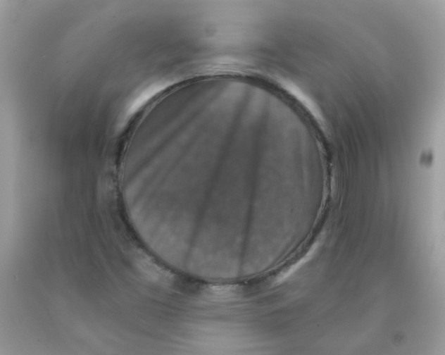 X0000091061453200709041148