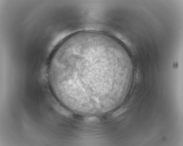 X0000091061454200709041148