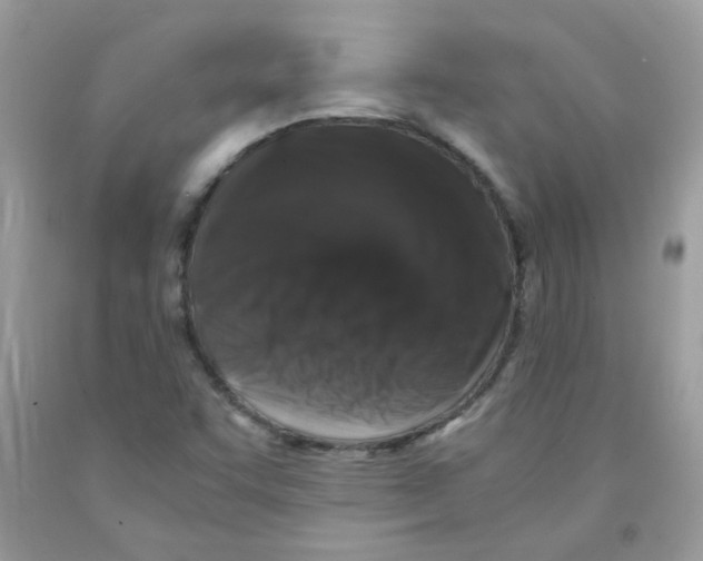 X0000091061455200709041148