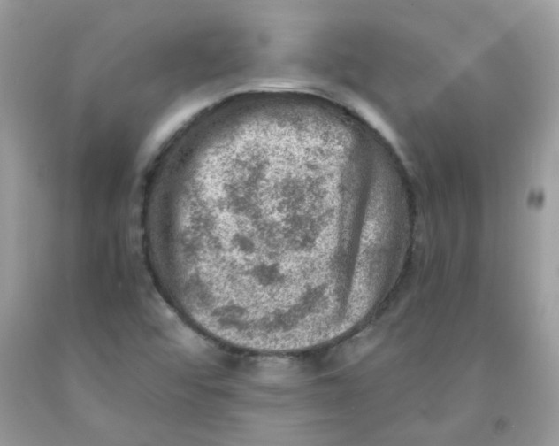 X0000091061456200709041148