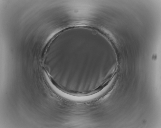 X0000091061457200709041148