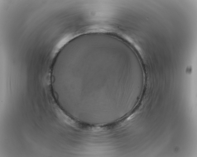 X0000091061459200709041148