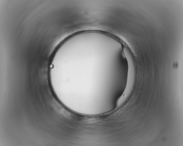 X0000091061460200709041148