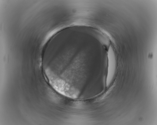X0000091061461200709041148