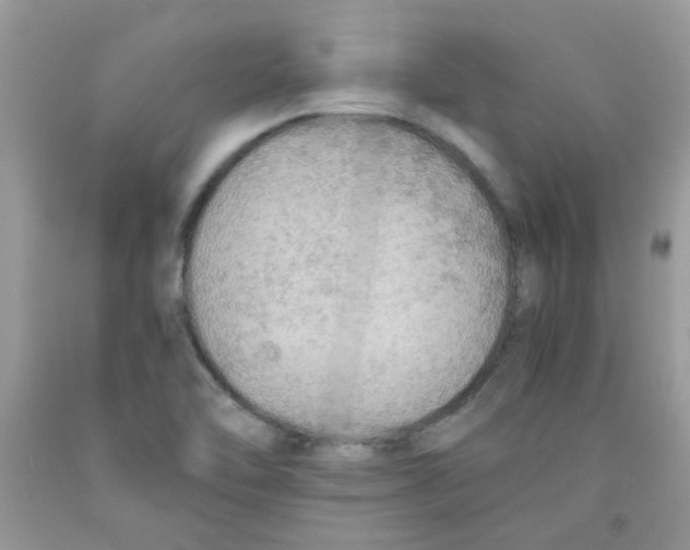 X0000091061462200709041148