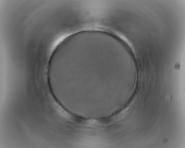 X0000091061463200709041148
