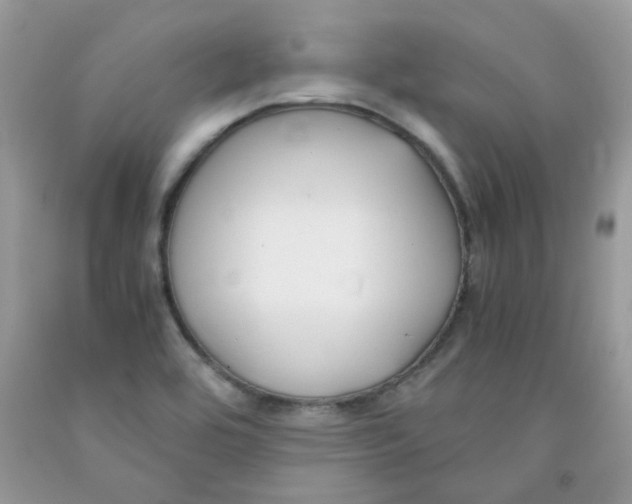 X0000091061464200709041148