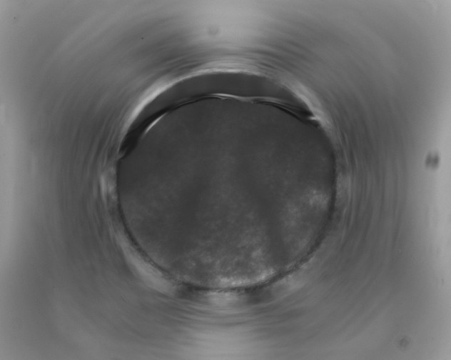 X0000091061465200709041148