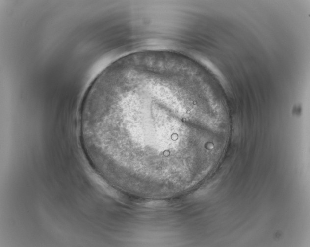 X0000091061467200709041148