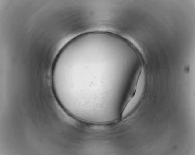 X0000091061468200709041148