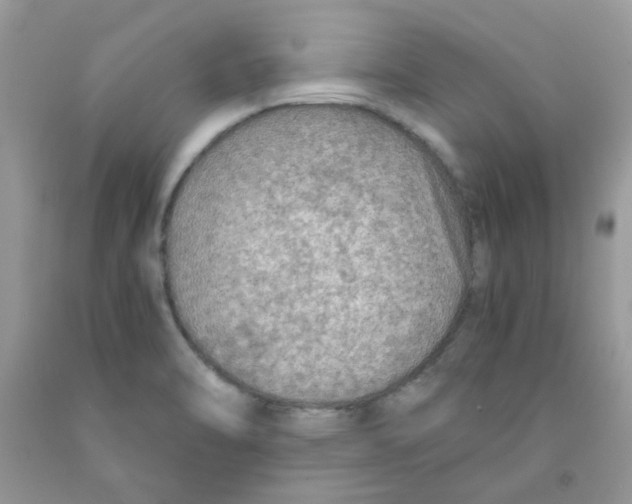 X0000091061470200709041148