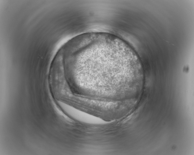 X0000091061471200709041148