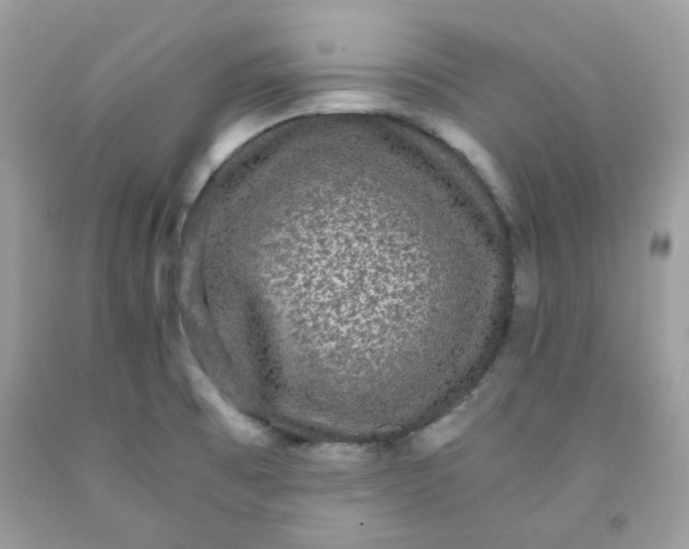 X0000091061473200709041148