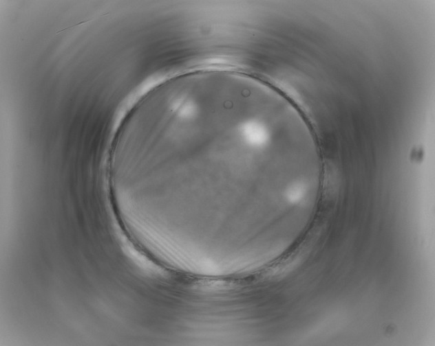 X0000091061474200709041148