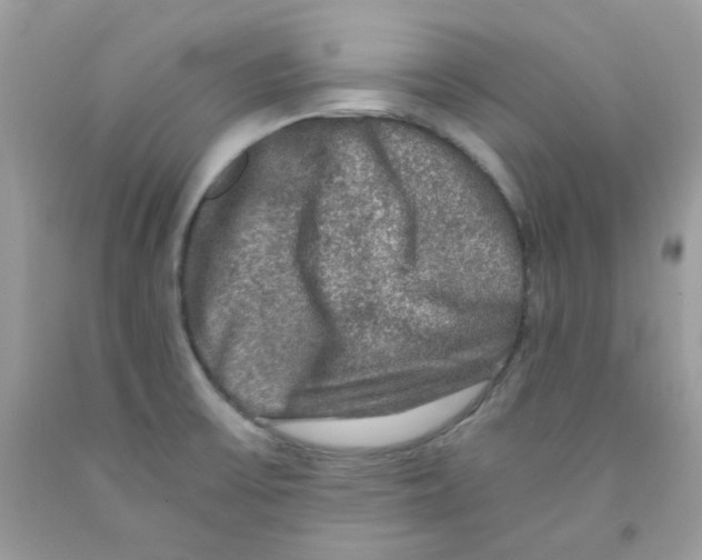 X0000091061475200709041148