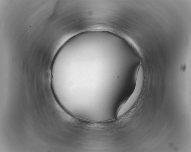 X0000091061476200709041148