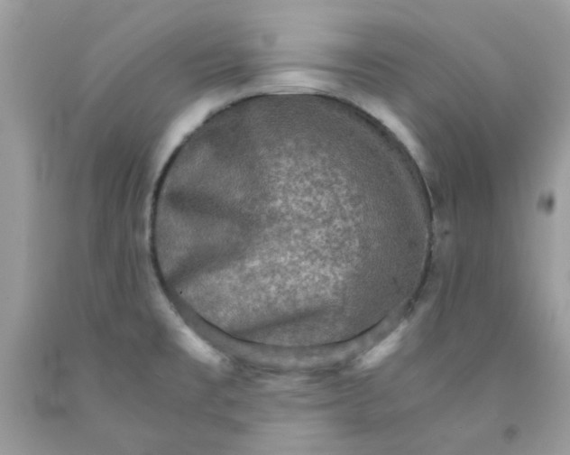X0000091061477200709041148