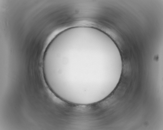 X0000091061478200709041148