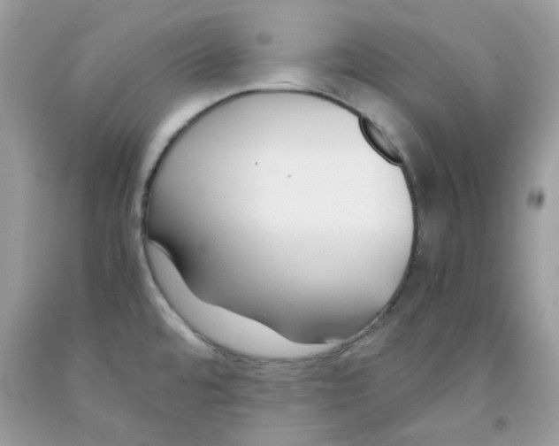 X0000091061480200709041148
