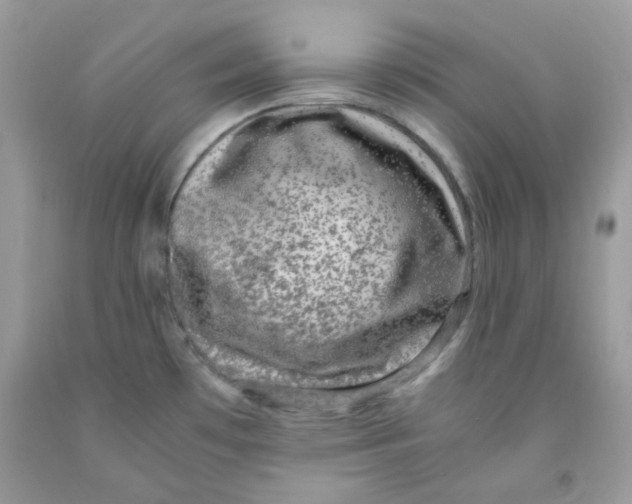 X0000091061481200709041148