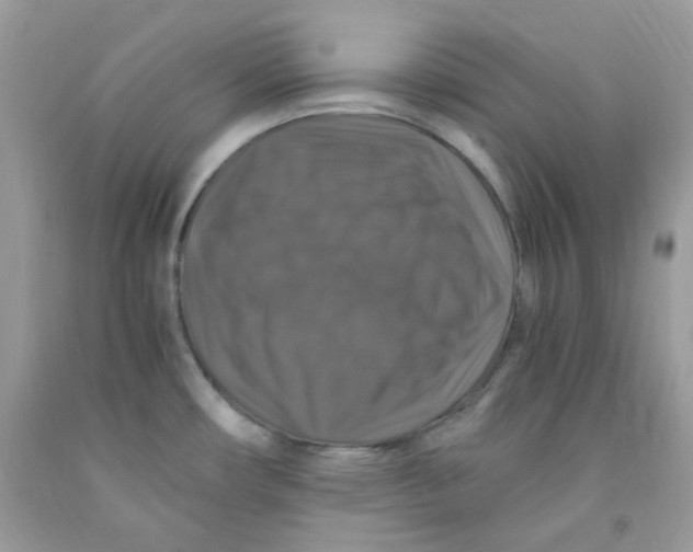 X0000091061482200709041148